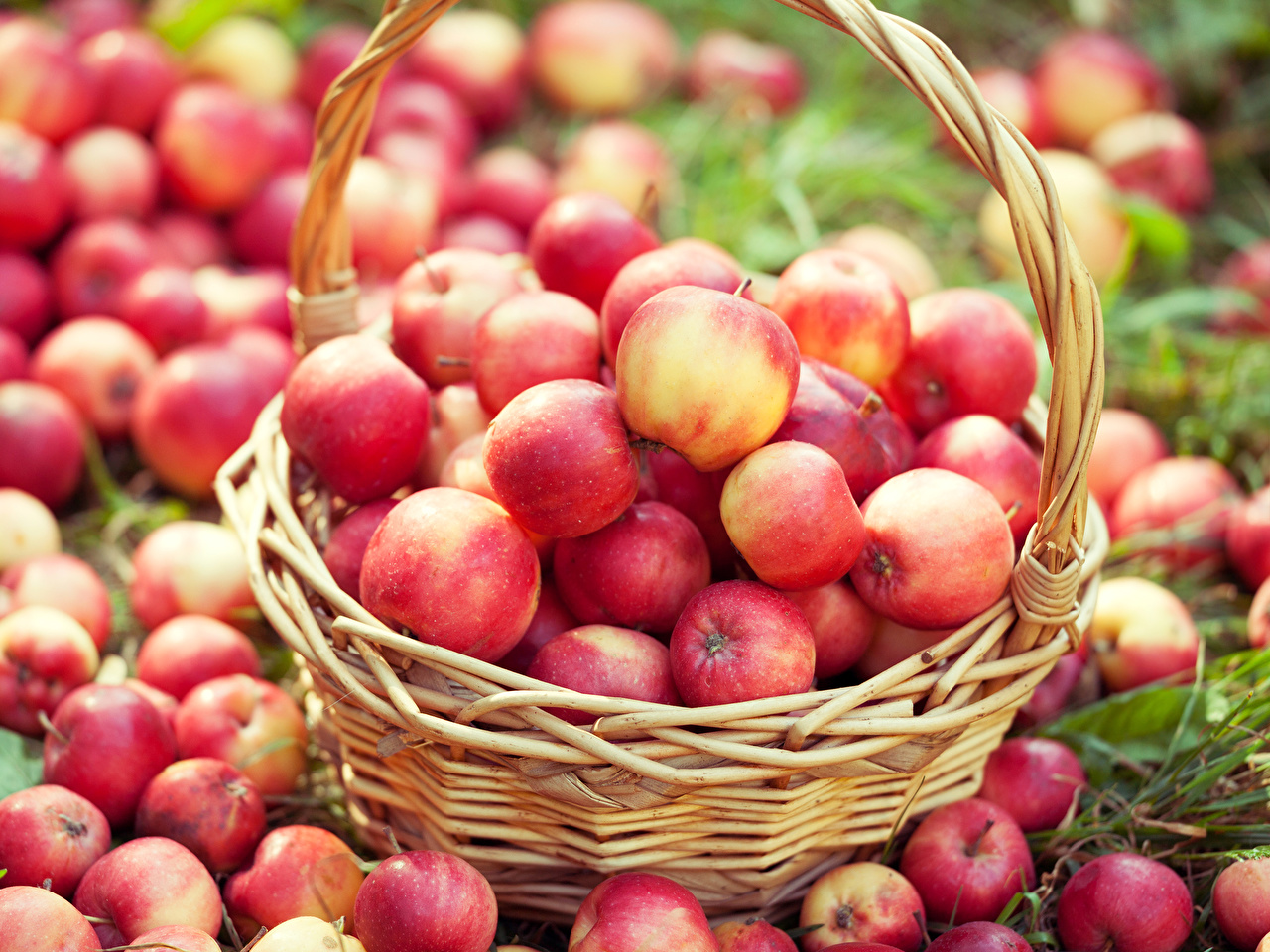 Рецепты из яблок - сохраним витамины впрок