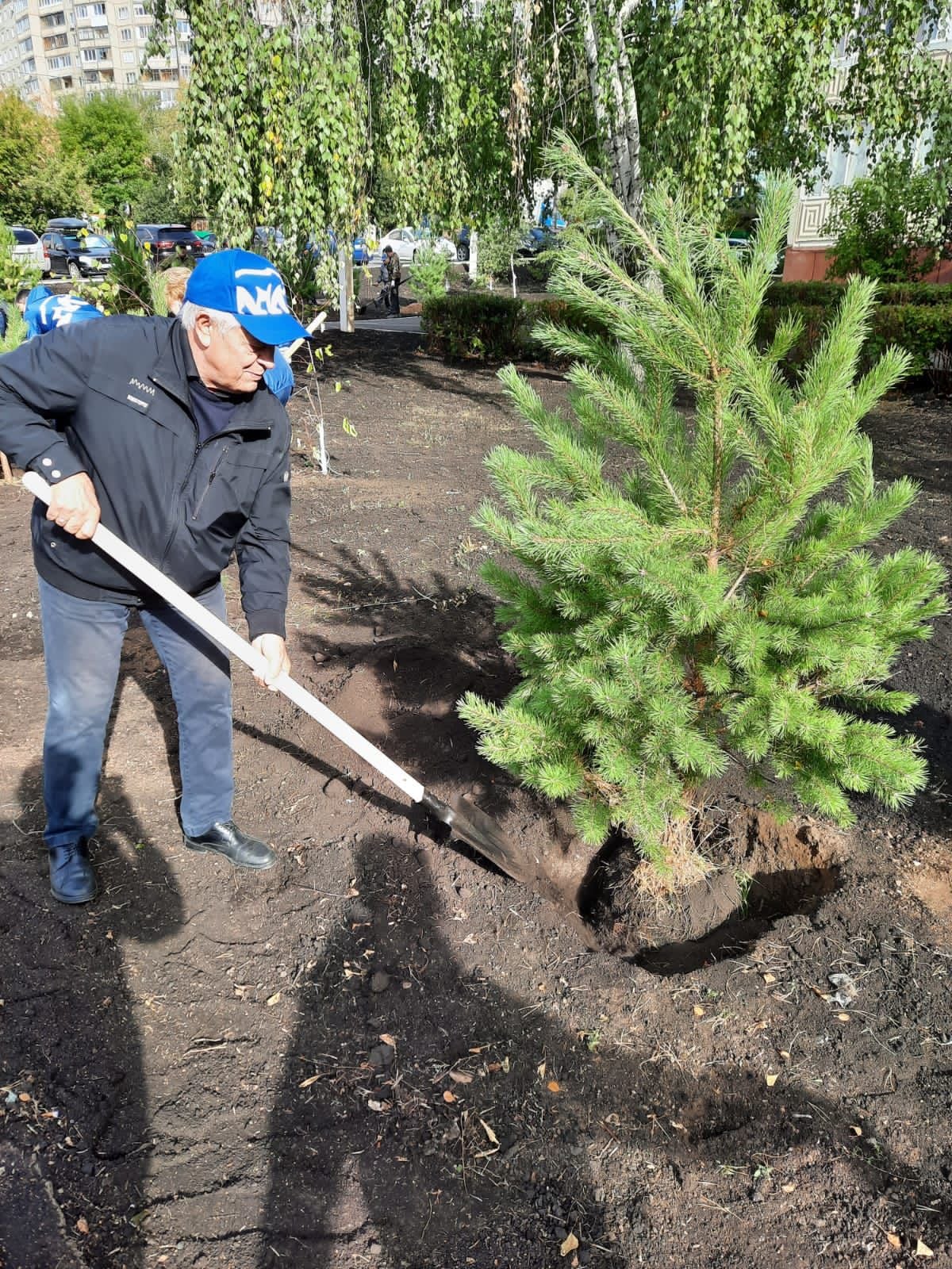 В Кировском районе высадили молодые деревья 