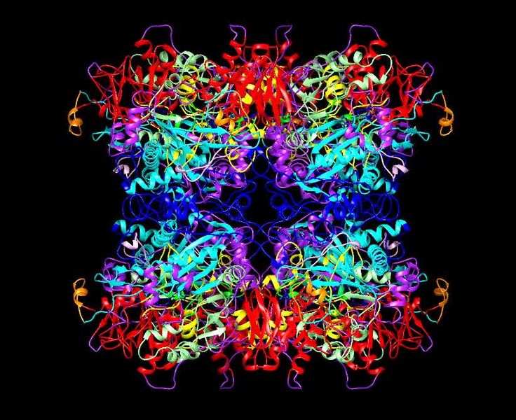 Structure-of-Alcohol-Oxidase-from-Pichia-pastoris-by-Cryo-Electron-Microscopy-pone.0159476.s006.ogv.jpg