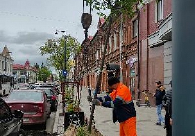 Мэр Уфы объяснил вырубку деревьев на улице Ленина