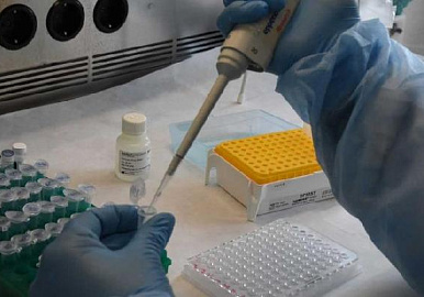 Число заболевших коронавирусной инфекций в Башкирии достигло 422 человек