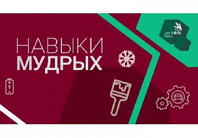  Республика Башкортостан принимает участие в финале IV Национального чемпионата «Навыки Мудрых»